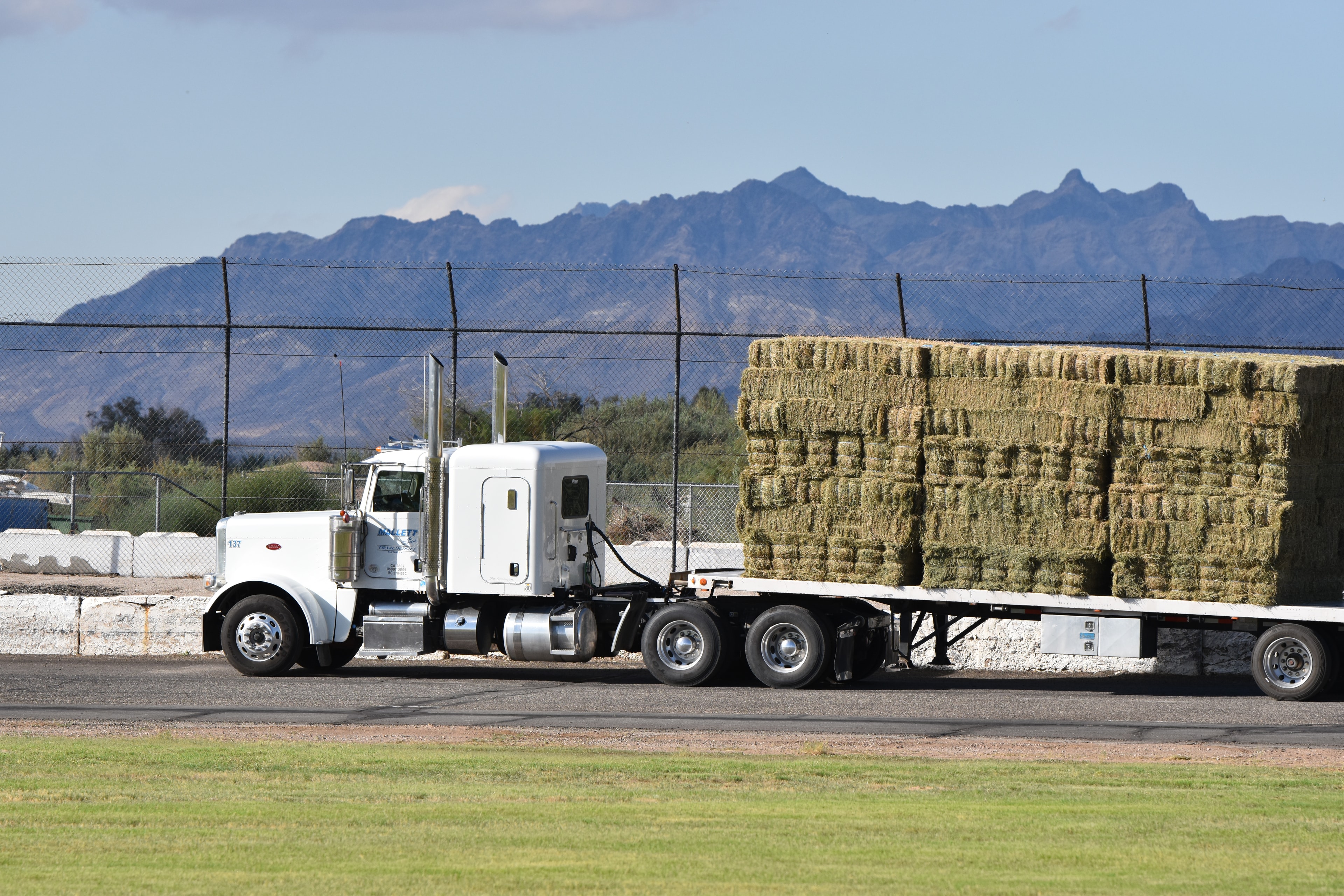 White semi truck loaded with hay bales with mountains in the background