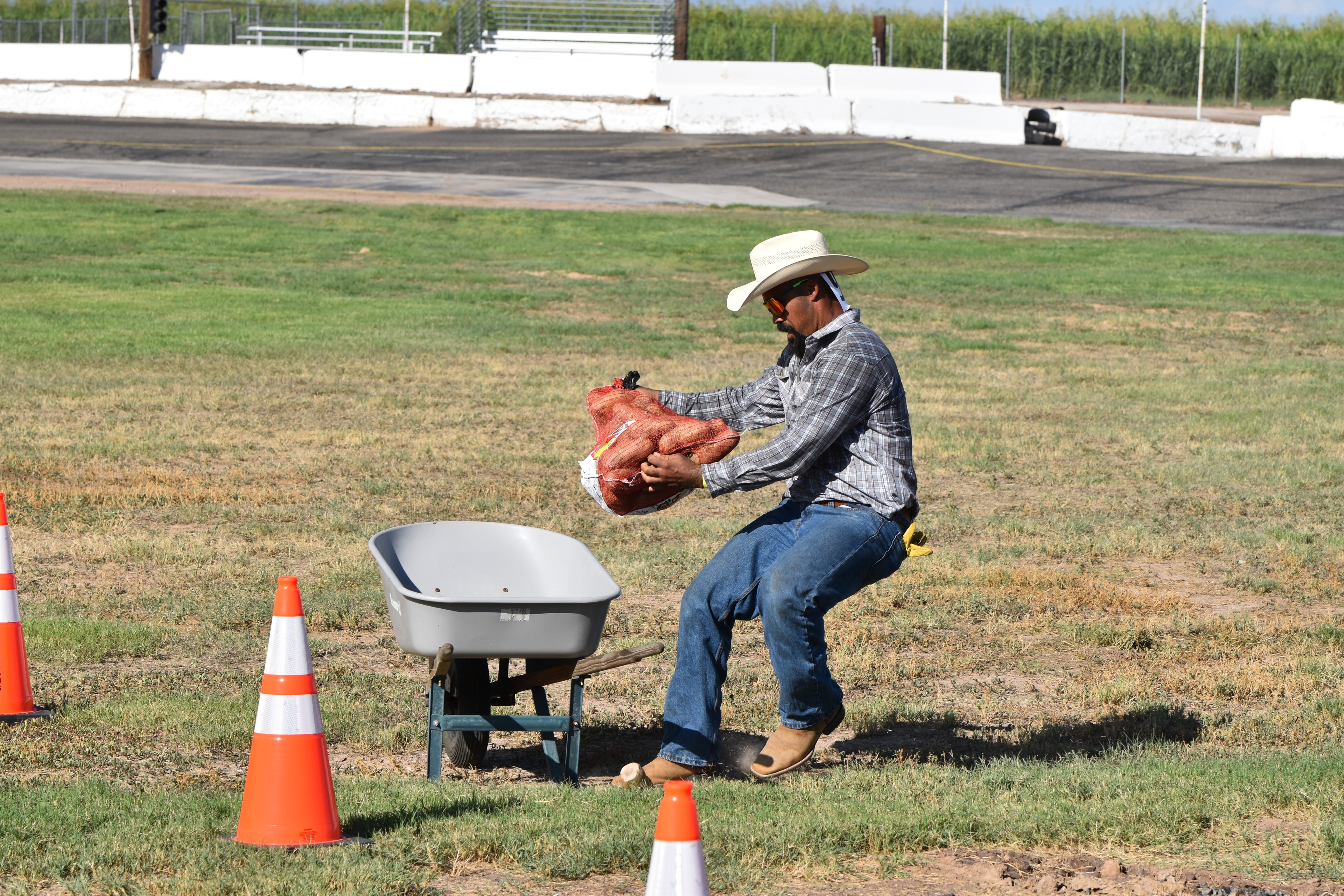 Competitor loading potatoes into a wheelbarrow at the Farm Olympics